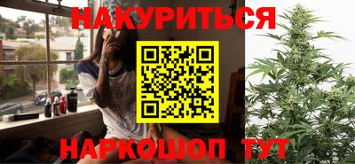 стаф Шебекино