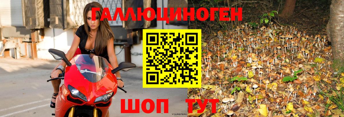 Псилоцибиновые грибы мухоморы Богородск